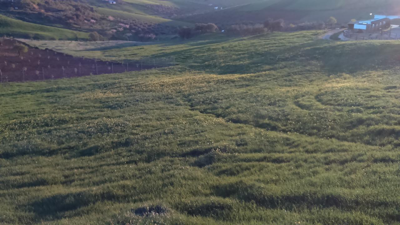 Relente Konuk evi Casabermeja Dış mekan fotoğraf